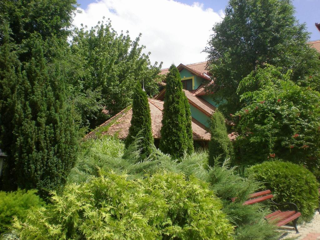 Vinski Dvor Palić Dış mekan fotoğraf